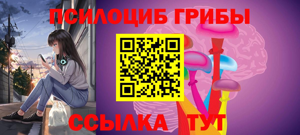 Псилоцибиновые грибы GOLDEN TEACHER Алейск