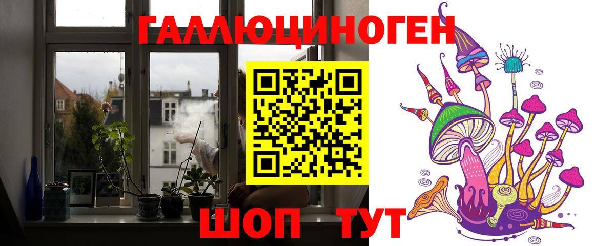 наркошоп  Вход с VPN  Галлюциногенные грибы GOLDEN TEACHER  Алейск  Псилоцибиновые грибы MAGIC MUSHROOMS 